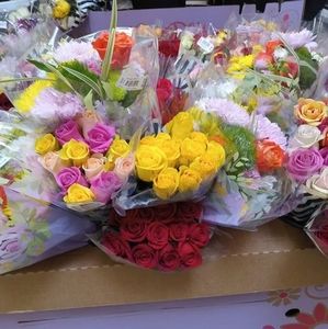 Meet your Posher, Noe